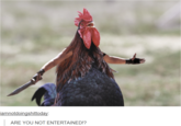 iamnotdoingshittoday: ARE YOU NOT ENTERTAINED!?