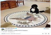 The White House @WhiteHouse y Follow Bo, stop trying to make fetch happen. 11:06 AM-13 Aug 2013 39,935 RETWEETS 27,715 FAVORITES