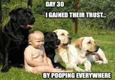 DAY 30 IGAINED THEIR TRUST BY POOPING EVERYWHERE