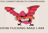 YOU CANNOT BEGIN TO COMPREHEND HOW F------ MAD IAM