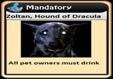 Mandator:y Zoltan, Hound of Dracula All pet owners must drink