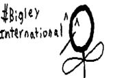 The beginning of the mass Bigley posts in the Japanese community.