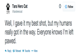 Tara Hero Cat Follow Well,I gave it my best shot, but my humans really got in the way. Everyone knows I'm left pawed わReply Retweet * Favorite More