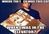 WHERE THE F CKWAS THIS CAT WHENDWASINTHE ELEVATOR?