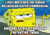 Spongebob ASPCA commercial JUSTWATCHED THESARAH MCLACHLAN ASPCA COMMERCIAL ANDONLY CRIEDTHROUGH THE ENTIRETHING quickmeme com