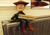 Via http://www.today.com/entertainment/toy-story-woody-doll-lost-highway-inspires-internet-helpers-2D79759363