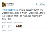 Liam Kenny @LiamHasPie Follow @Harr.etScottie This is actually 100% my woody doll... had it when I was little... there is a lil chew mark on his nose where my sister bit わReply Retweet ★ Favorite More RETWEETS FAVORITE 2 4:24 PM-4 Jun 2014