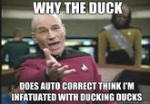 9f7.jpg WHV THE DUCK DOES AUTO CORRECT THINK I'M INFATUATED WITH DUCKING DUCKS