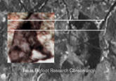 The mission of this site is to provide content that counters pseudo-skepticism regarding the topic of Bigfoot, or Sasquatch if you rather. Content that provides what we find to be the most impeccable evidence in general will also be posted.
