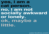 yes, i am a cat person. no, i am not socially awkward or lonely. ok, maybe a little yes-butno.com