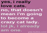 yes, i really love cats. no, that doesn't mean i'm going to become a crazy cat lady. lol jk, i already am one. yes-butno.com