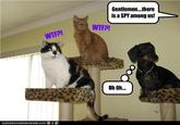Gentlemen. .there is a SPY among us! W--?! WTFPI Uh Oh.. ICAN H AS CHE E ZBURGER.COM亭導乡