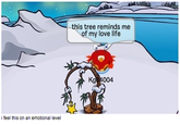 this tree reminds me of my love life i feel this on an emotional level