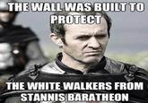 THE WALL WAS BUILT TO PROTECT THE WHITE WALKERS FROM STANNISBARATHEON