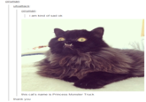 ufoattack oiruman i am kind of sad ok this cat's name is Princess Monster Truck thank you