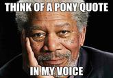 THINK OF A PONY QUOTE IN MY VOICE Morgan Freeman Now You See Me photo caption nose facial hair forehead chin