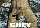 GHEY