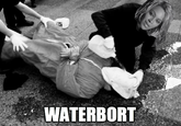 WATERBORT