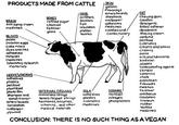 PRODUCTS MADE FROM CATTLE KIN emery booeds EAT airfilters chewing gum candles detergents fabric Softener sbeetrock refined sugar Felk walpaper adhesives medicines candiesand Ant-aging cream medicine3 fetiizer textiles Confectionar ng cream perfume petfood posta imitation e99s Cake mes dyes and inks creams qnd lotions oils and lubricants biodiesel plastics minerals loboratory research Cementng agents cermmieS moterials adhesives exploSives firework:s matches ferbikzer antifree ze insulation linoleun rubber texsles modicines pet food plont food photo il shampoo and instrument Sirings MANURE fertiker adhe Sives conditioner tennis fucquet strings plastcs amery boards ormones cosmetics medicines phosphorous vitamins, and other wallpaper CONCLUSION: THERE IS NO SUCH THING ASAVEGAN