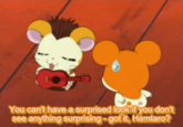 You can't have a surprised look if you don't see anything surprising-got it, Hamtaro?
