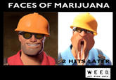 d63.jpg FACES OF MARIJUANA 2 HITS LATER W E E D
