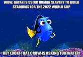 WOW QATAR IS USING HUMAN SLAVERY TO BUILD STADIUMS FOR THE 2022 WORLD CUP #HEY LOOK! THAT CROW IS ASKING FORWATER!