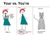 Your vs. You're This is cat. You The cat which belongs to you Cat, you are Cat. You're Cat. at You are not Your cat are cat./cat.