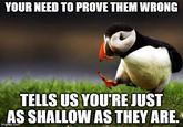 YOUR NEED TO PROVE THEM WRONG TELLS US YOU'RE JUST AS SHALLOW AS THEY ARE imgilip.com