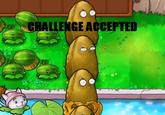 CHALLENGE ACCEPTED