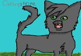 Graystripe.