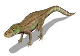 S--- guys, Crocoduck was "real."
http://en.wikipedia.org/wiki/Anatosuchus
