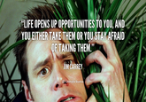 Stop Breaking The Law Jim Carrey Know Your Meme