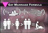 Source - "The Daily Show":http://thedailyshow.cc.com/videos/5sgwoz/the-boys-in-the-ban (start at 3:26)

"To sum up, it'll take 2/3rds of both houses and three quarters of the states to approve an amendment saying that two straight parents are better than one straight parent, which is still greater than two gay parents, which is equal to a guy screwing a turtle."