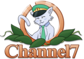 Channel