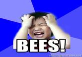 BEES! memegenerator.ne