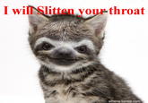cce.jpg I will Slitten your throat slittens.tumblr.com