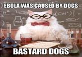EBOLA WAS CAUSED BY DOGS MILK 30o 60 BASTARD DOGS