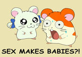 SEX MAKES BABIES?