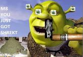 M8 YOU JUST GOT SHREKT