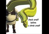 check urself before u shrek urself