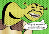 Check vourself before vou Shrek vourself