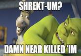 SHREKT-UM? DAMN NEAR KILLEDIM