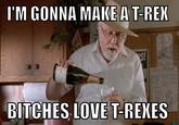 Gonna make a T-rex. Bitches love T-rexes Image via Tumblr- <a href="http://wilmeratti.tumblr.com/post/47025625255"> wilmeratti </a>
See Also: <a href="https://knowyourmeme.com/memes/subcultures/jurassic-park">Jurassic Park</a>