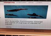 -Browse |.ρ Search change.org Start a petition Petitioned The Scientific Community The Scientific Community: Change the name of a group of squids to squad. Pesition by Alexis Shaw Bellport, NY MacBook Air