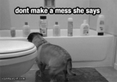 dont make'a mess she says