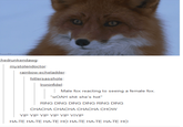 mystolendoctor: rainbow-echeladder: hitlersasshole Ironinfidel Male fox reacting to seeing a female fox. WOAH s--- she's hot" RING DING DING DING RING DING CHACHA CHACHA CHACHA CHOW YIP YIP YIP YIP YIP YIYIP HA-TE HA-TE HA-TE HO HA-TE HA-TE HA-TE HO