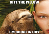 BITE THE PILLOW I'M GOING IN DRY