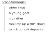 prospitianangel when I was a young goat my father took me up a 90° slope to lick up salt deposits