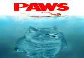 PAWS