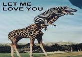 LET ME LOVE YOU
